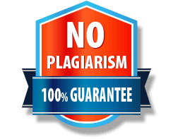 No Plagiarism essays