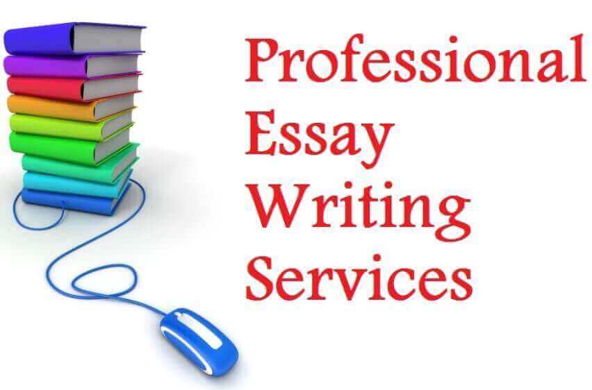 Professional essay writers