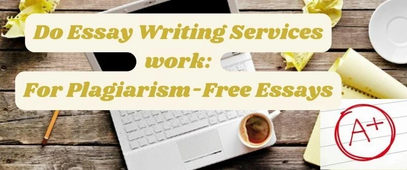 Do Essay Writing Services work