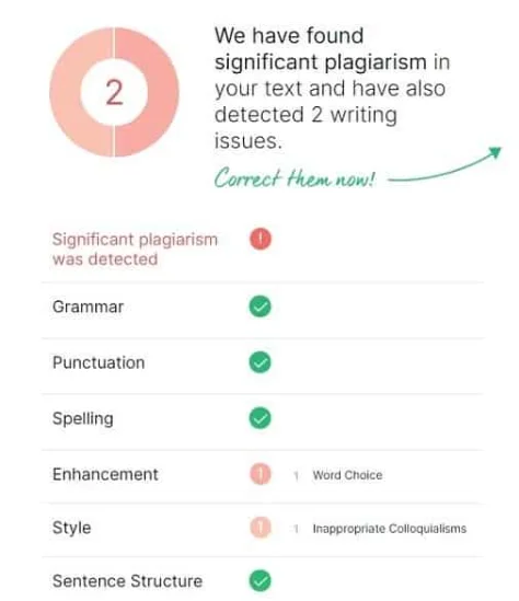 plagiarism check