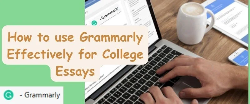 using Grammarly for College Essays