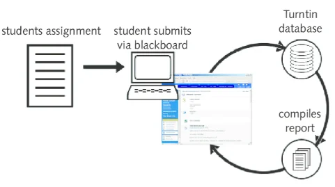 how Turnitin works