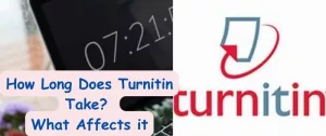 How Long Does Turnitin Take