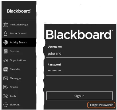 using Blackboard